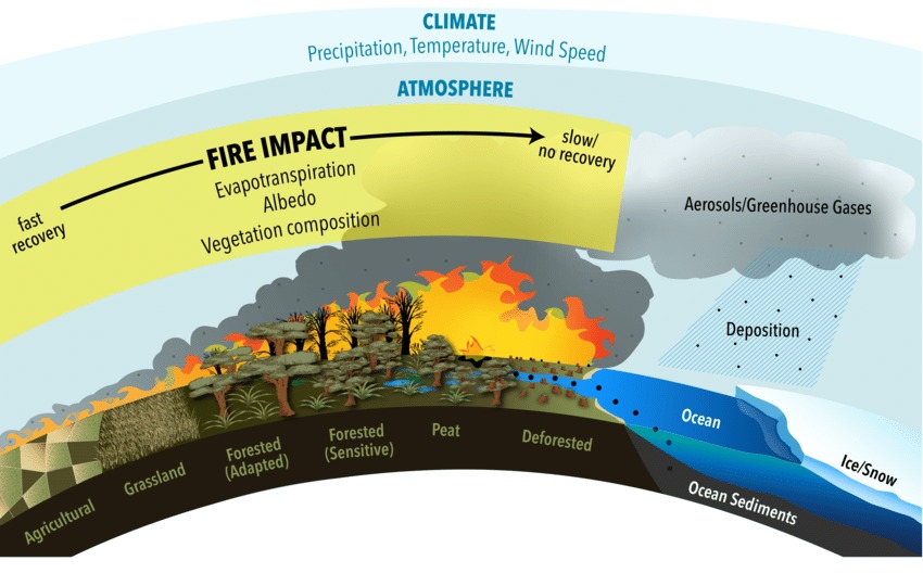 Climate Change and Fire